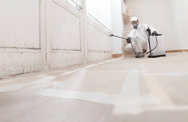24/7 Emergency Crawl Space Mold Removal experts in Westchester, IL